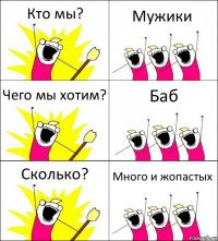 Кто мы? Мужики Чего мы хотим? Баб Сколько? Много и жопастых