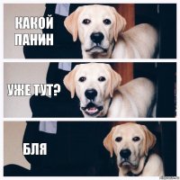 Какой Панин Уже тут? Бля