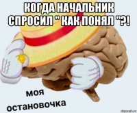 когда начальник спросил " как понял "?! 