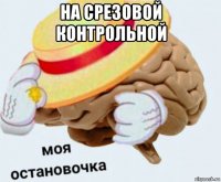 на срезовой контрольной 