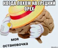 когда похож на грецкий орех 