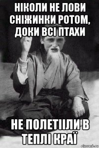 ніколи не лови сніжинки ротом, доки всі птахи не полетііли в теплі краї