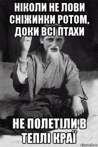 ніколи не лови сніжинки ротом, доки всі птахи не полетіли в теплі краї