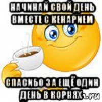 начинай свой день вместе с кенарием спасибо за ещё один день в корнях