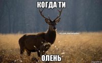 когда ти олень