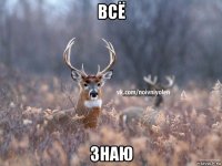 всё знаю