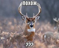 похож ???