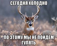 сегодня холодно по этому мы не пойдем гулять