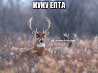 куку епта 