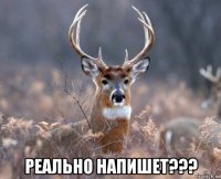  реально напишет???