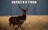 коллеги я тупой 