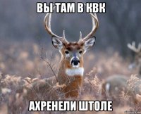 вы там в квк ахренели штоле