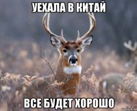 уехала в китай все будет хорошо