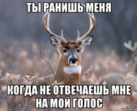 ты ранишь меня когда не отвечаешь мне на мой голос