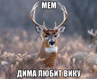 мем дима любит вику