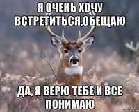 я очень хочу встретиться,обещаю да, я верю тебе и все понимаю