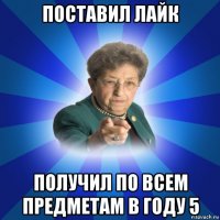 поставил лайк получил по всем предметам в году 5