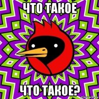 что такое что такое?