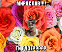 мирослав!!!! ти гдзе?????