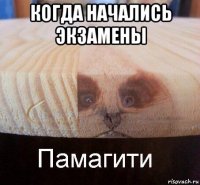 когда начались экзамены 