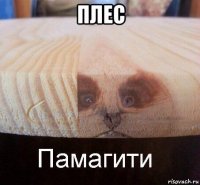 плес 