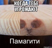 когда тебе угрожают 