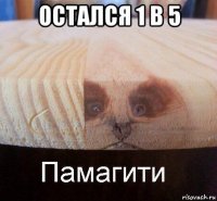 остался 1 в 5 