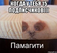 когда у тебя 15 подписчиков((( 