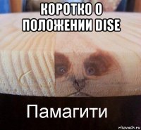 коротко о положении dise 