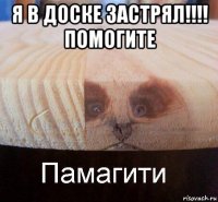 я в доске застрял!!!! помогите 