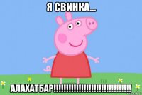 я свинка... алахатбар!!!!!!!!!!!!!!!!!!!!!!!!!!!!!!!