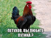  петухов, вы любите путина ?