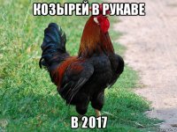 козырей в рукаве в 2017