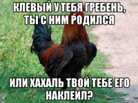 клевый у тебя гребень, ты с ним родился или хахаль твой тебе его наклеил?