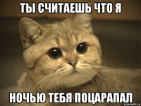 ты считаешь что я ночью тебя поцарапал