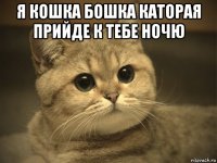 я кошка бошка каторая прийде к тебе ночю 