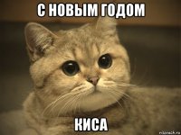 с новым годом киса