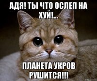 адя! ты что ослеп на хуй!... планета укров рушится!!!