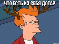 что есть из себя дота? 