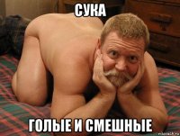 сука голые и смешные