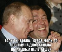  если ты, вовка, - серая моль, то почему на дно байкала ныряешь, а не летаешь?