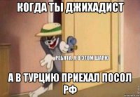 когда ты джихадист а в турцию приехал посол рф