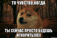 то чувство,когда ты сейчас просто будешь игнорить))0))