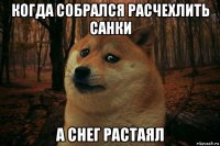 когда собрался расчехлить санки а снег растаял