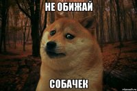 не обижай собачек