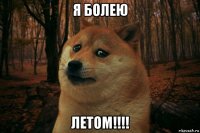 я болею летом!!!!