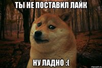 ты не поставил лайк ну ладно :(