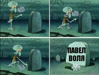 Павел Воля