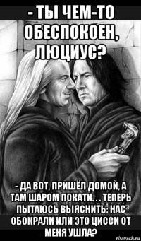 - ты чем-то обеспокоен, люциус? - да вот, пришёл домой, а там шаром покати. . . теперь пытаюсь выяснить: нас обокрали или это цисси от меня ушла?