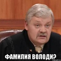  фамилия володи?